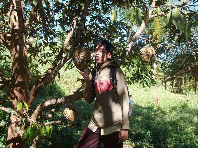 kebun buah